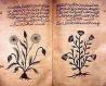 https://upload.wikimedia.org/wikipedia/commons/thumb/7/78/Arabic_herbal_medicine_guidebook.jpg/250px-Arabic_herbal_medicine_guidebook.jpg?utm_source=fr.wikipedia.org&utm_campaign=parser&utm_content=thumbnail